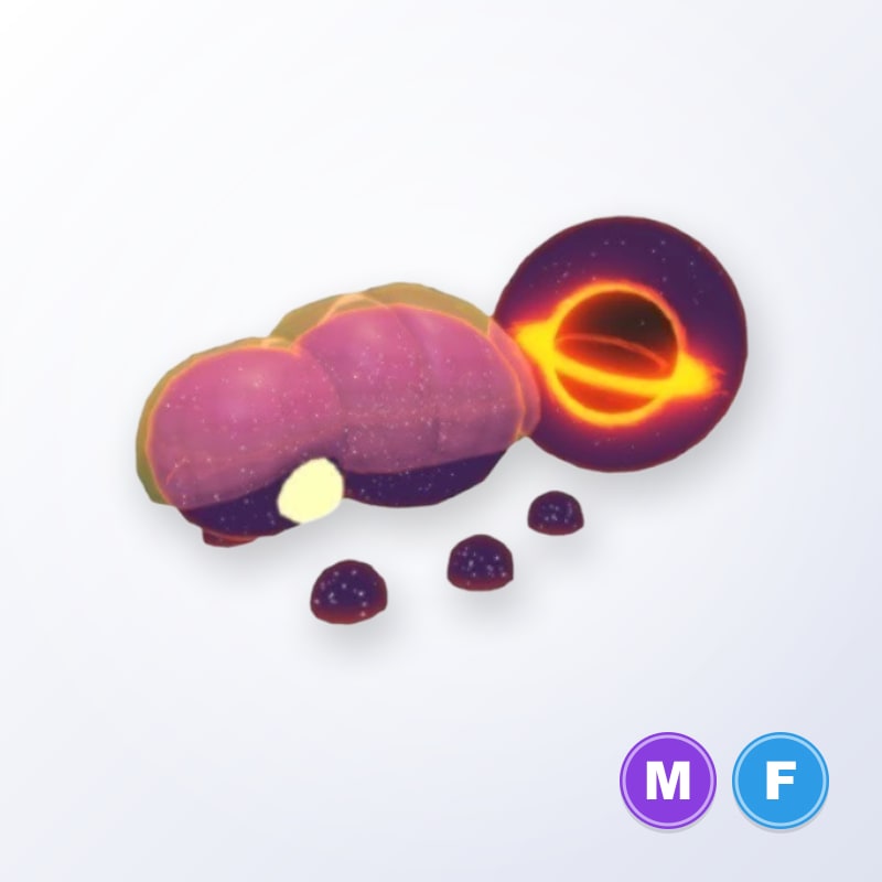 Singularity Beetle MF | Adopt Me