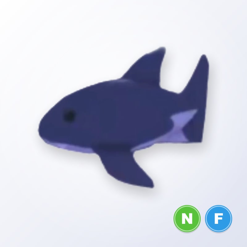 Shark NF | Adopt Me