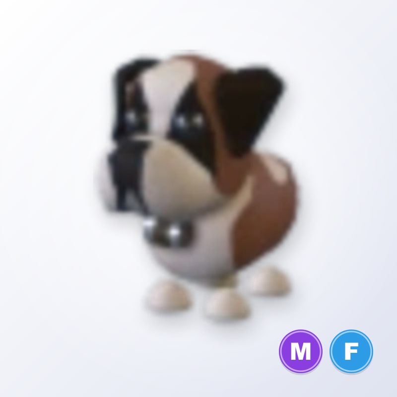 St Bernard MF | Adopt Me
