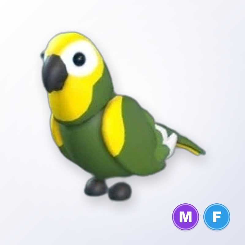Green Amazon MF | Adopt Me