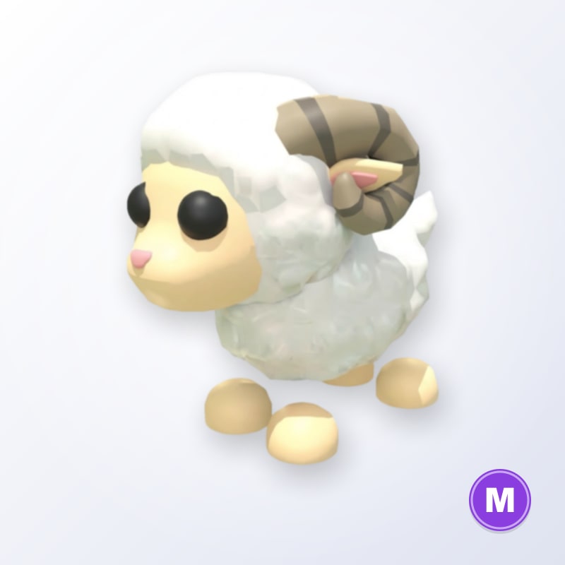 Ram M | Adopt Me