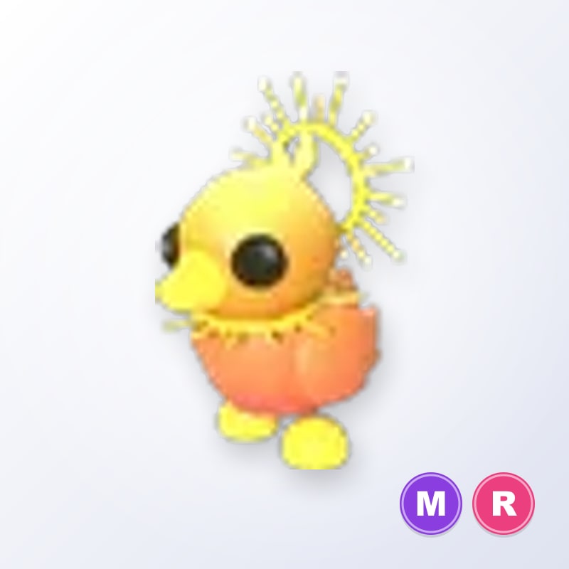 Sunrise Duckling MR | Adopt Me