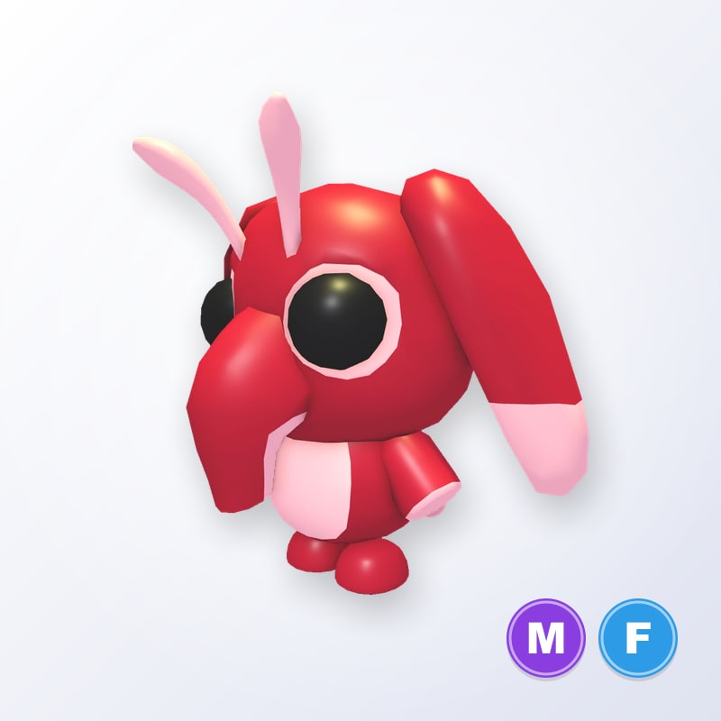 Snorgle MF | Adopt Me