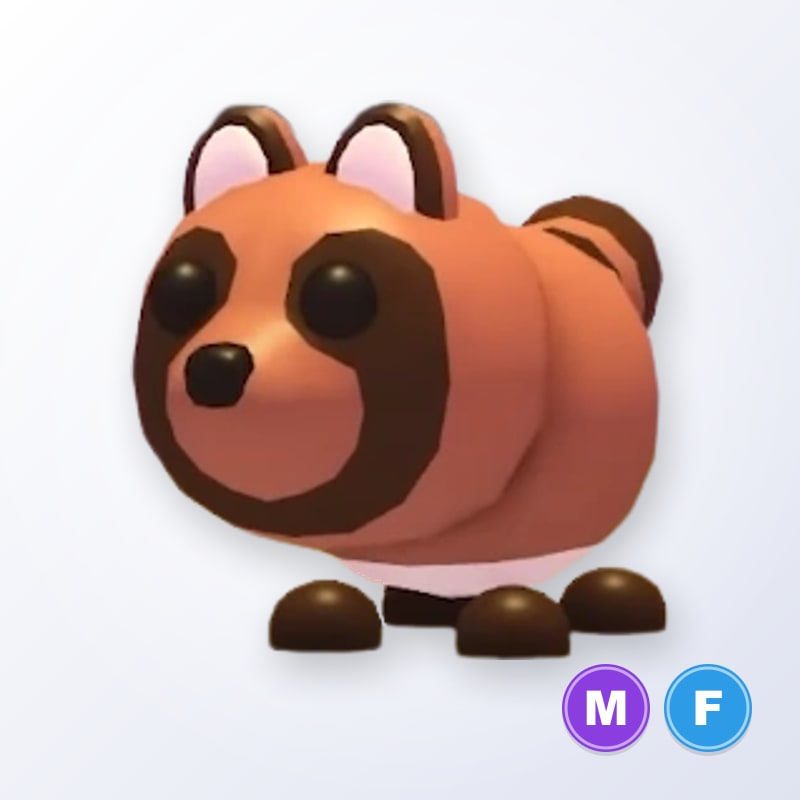 Tanuki MF | Adopt Me