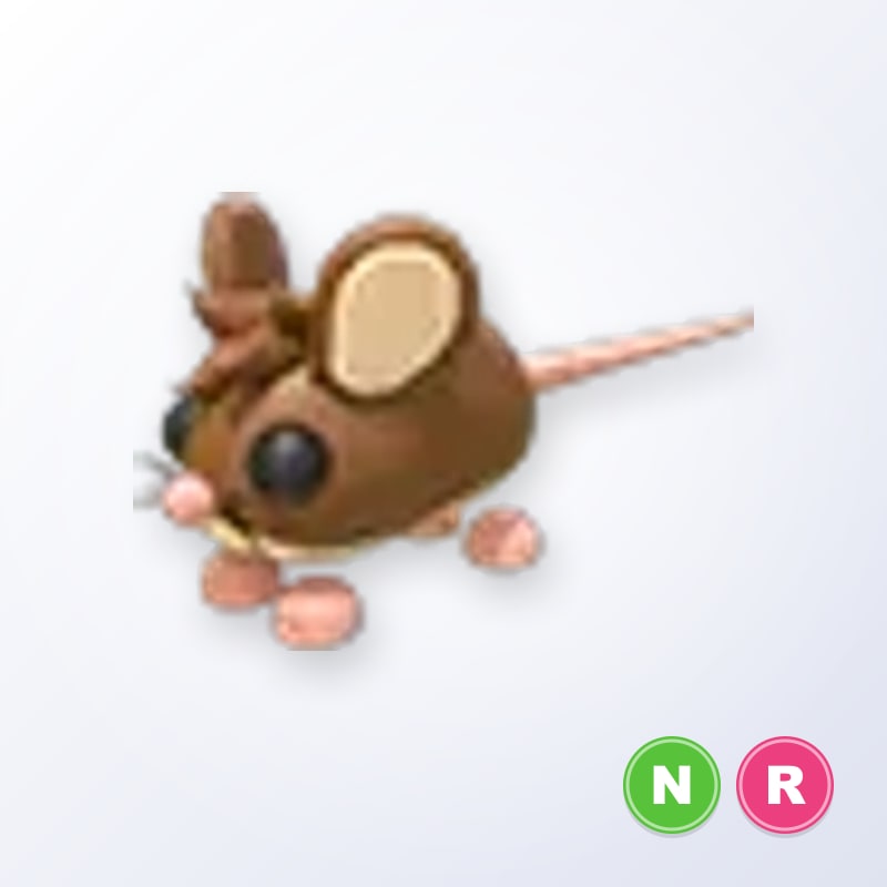 Field Mouse NR | Adopt Me