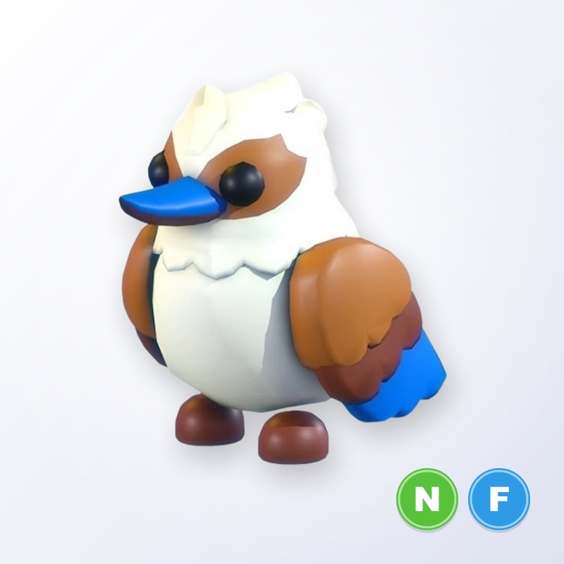 Kookaburra NF | Adopt Me