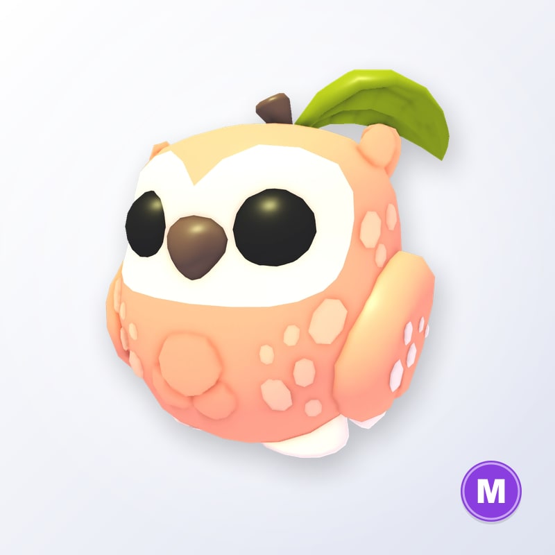 Peach Owl M | Adopt Me