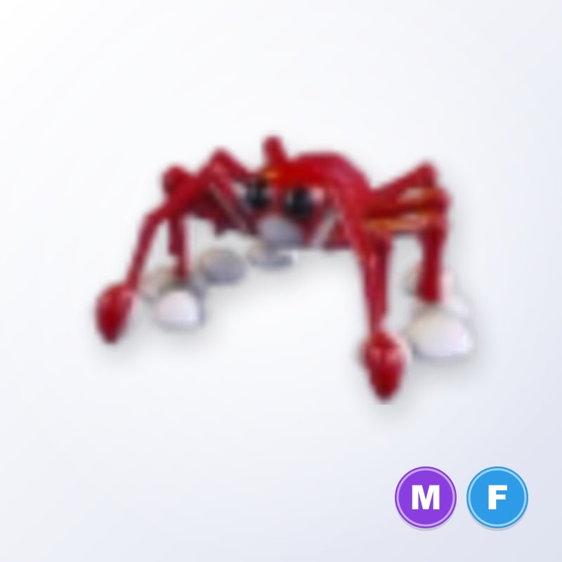 Spider Crab MF | Adopt Me