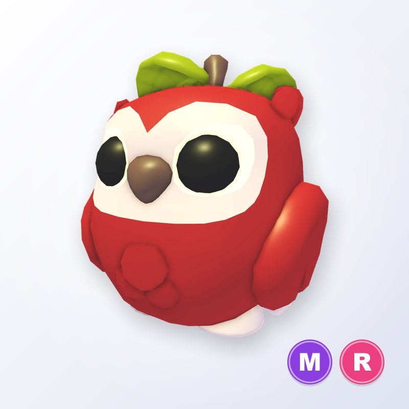 Apple Owl MR | Adopt Me