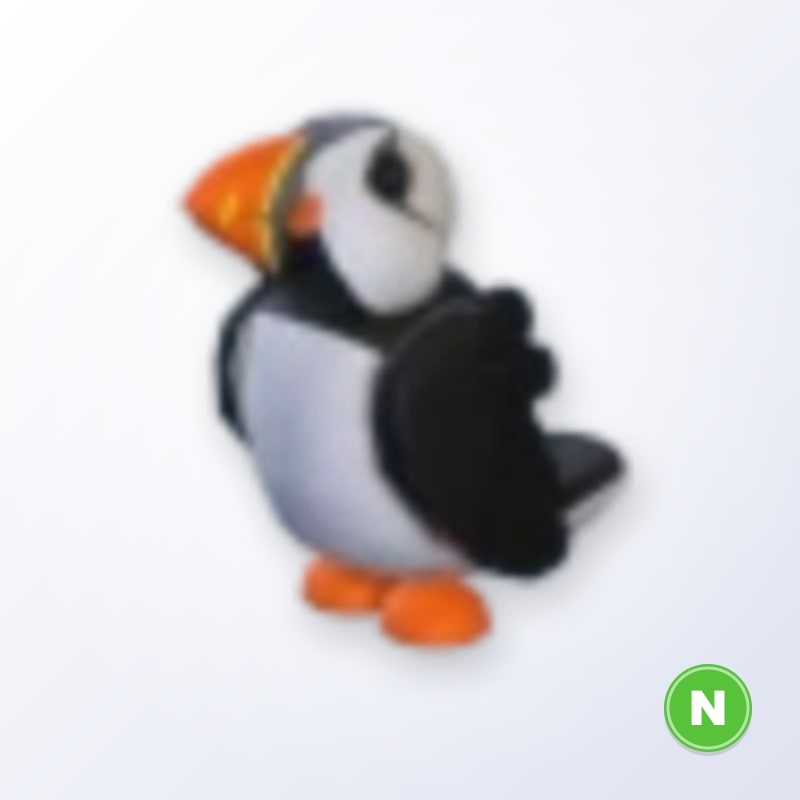 Puffin N | Adopt Me