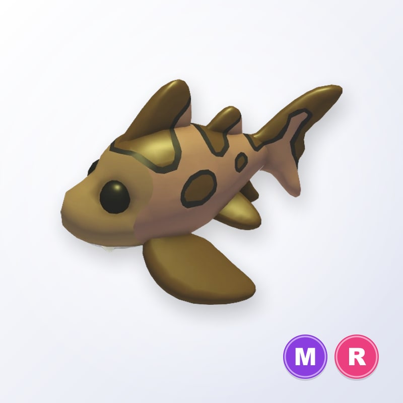 Leopard Shark MR | Adopt Me