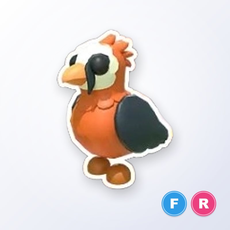 Lammergeier FR | Adopt Me