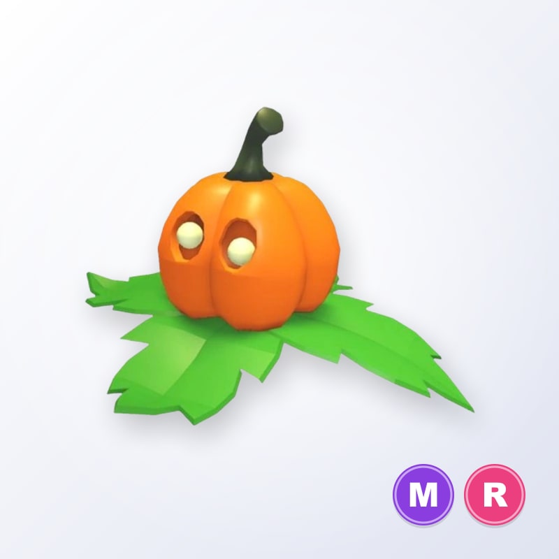 Pumpkin Friend MR | Adopt Me