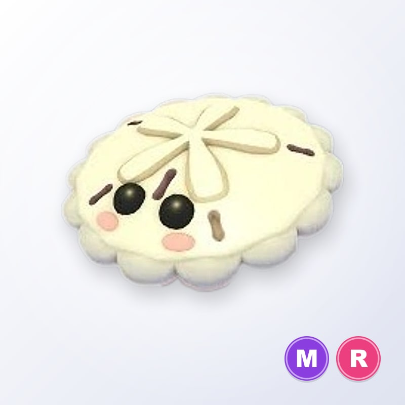 White Sand Dollar MR | Adopt Me