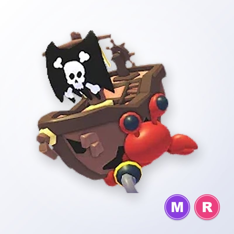 Pirate Hermit Crab MR | Adopt Me