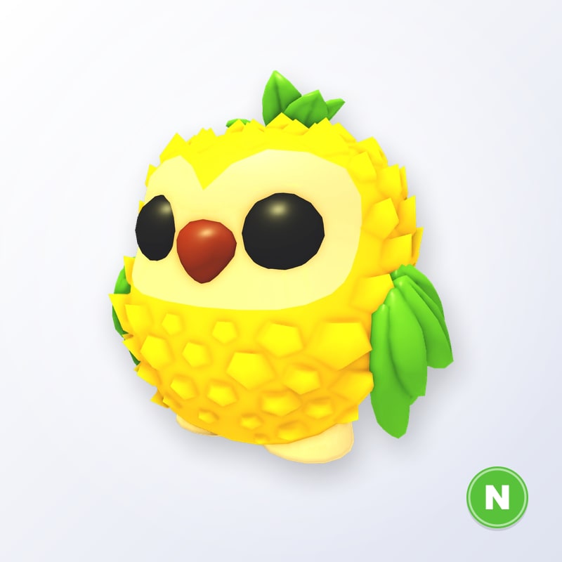 Pineapple Owl N | Adopt Me