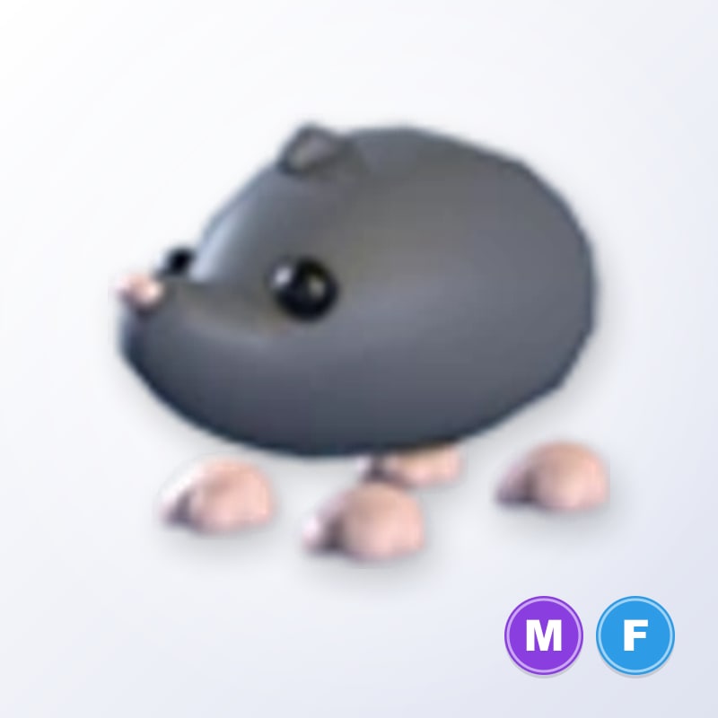 Sado Mole MF | Adopt Me