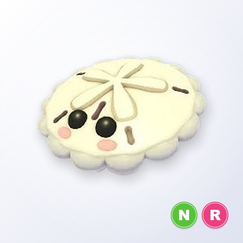 White Sand Dollar NR | Adopt Me