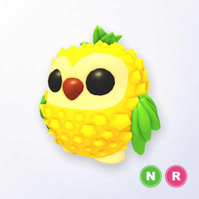 Pineapple Owl NR | Adopt Me