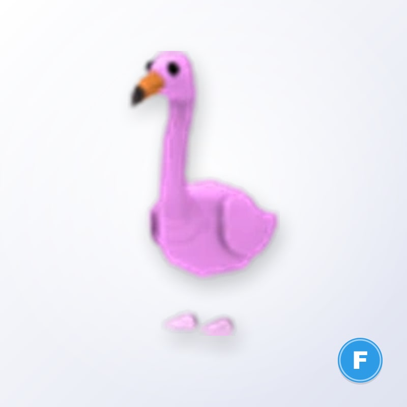 Flamingo F | Adopt Me