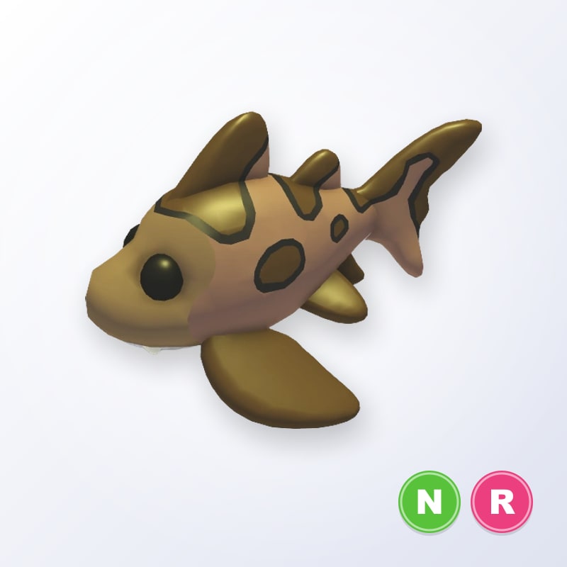 Leopard Shark NR | Adopt Me