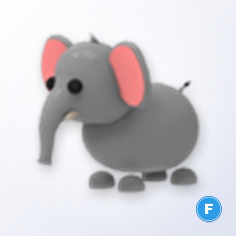 Elephant F | Adopt Me