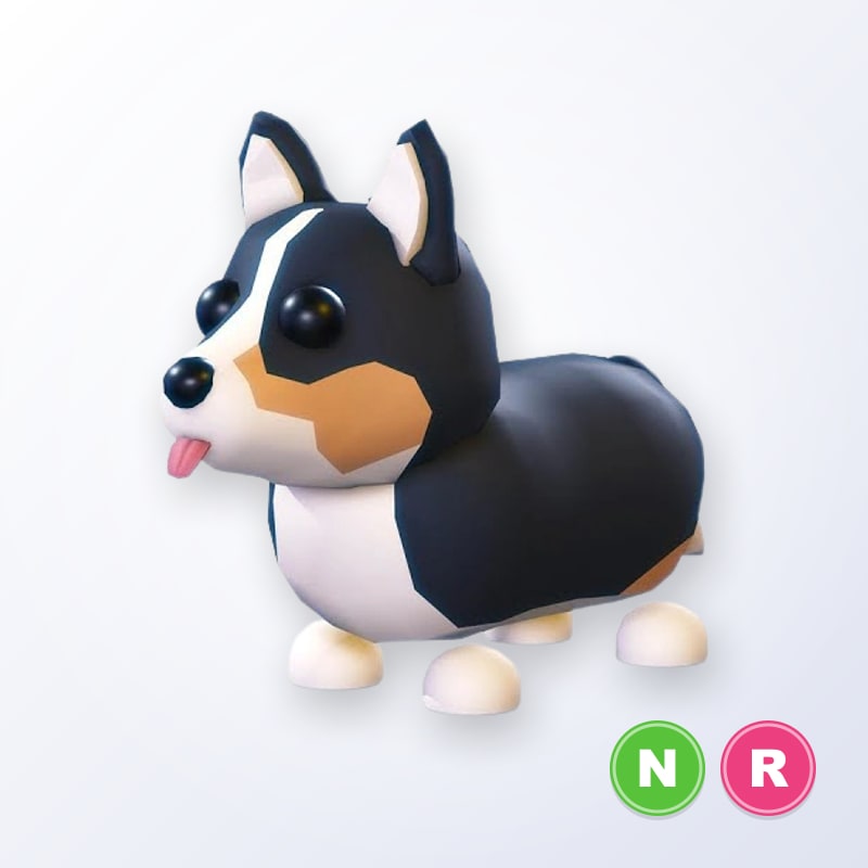 Royal Corgi NR | Adopt Me