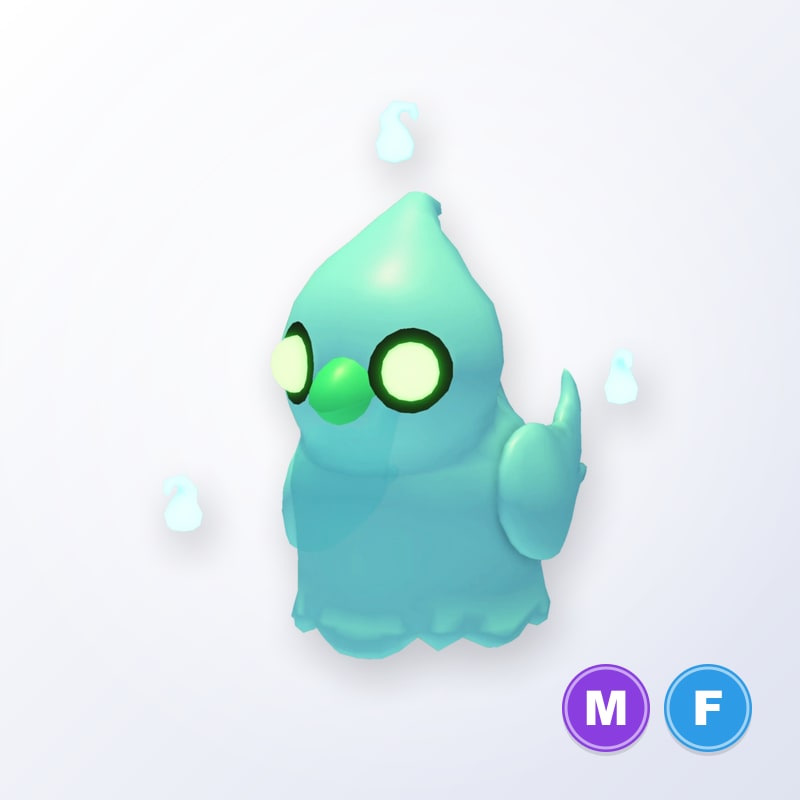 Ghost Chick MF | Adopt Me
