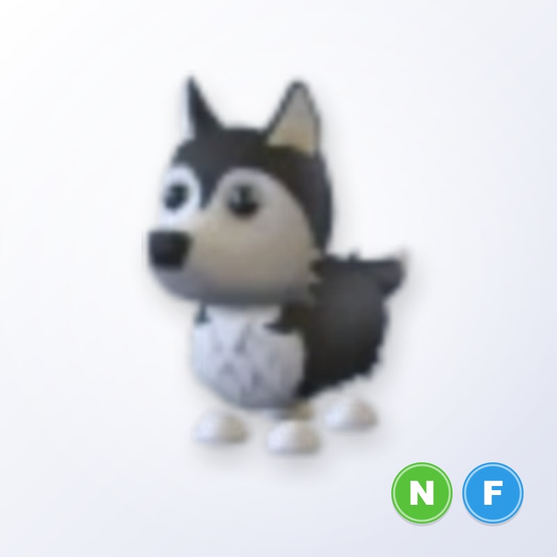 Husky NF | Adopt Me