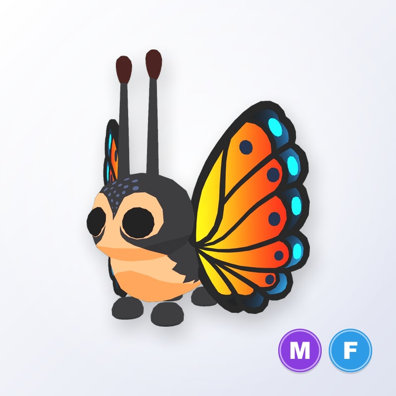 Mirai Moth MF | Adopt Me
