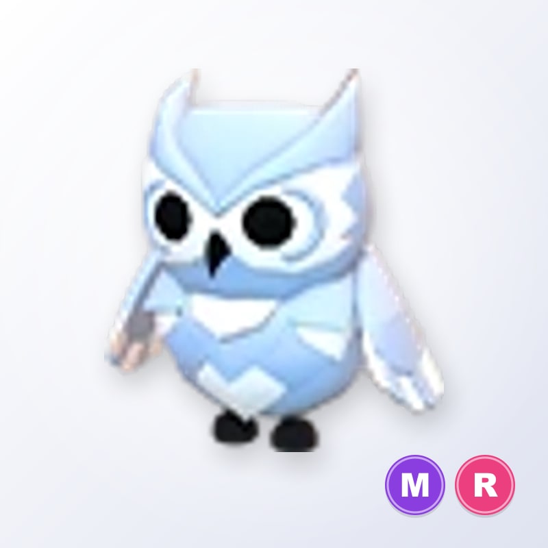 Snow Owl MR | Adopt Me