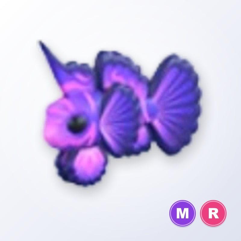 Singularity Pisces MR | Adopt Me