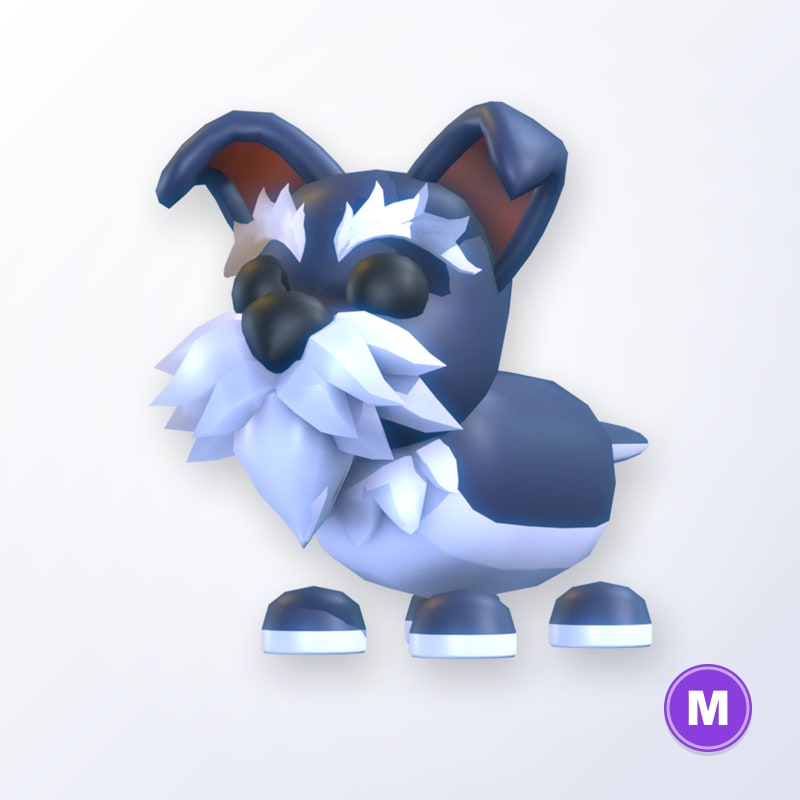 Mini Schnauzer M | Adopt Me