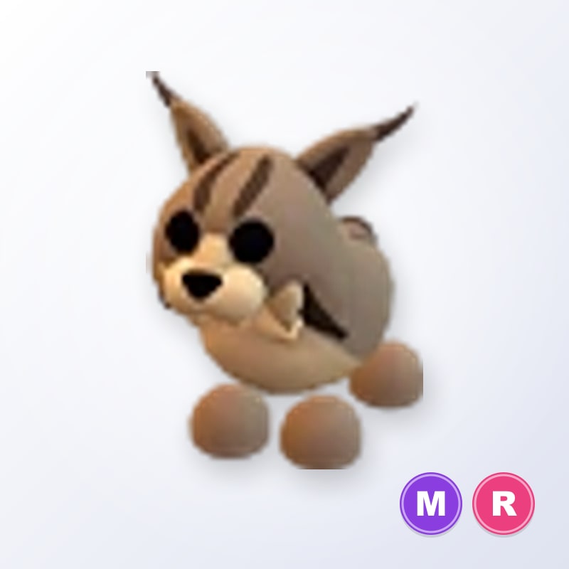 Lynx MR | Adopt Me