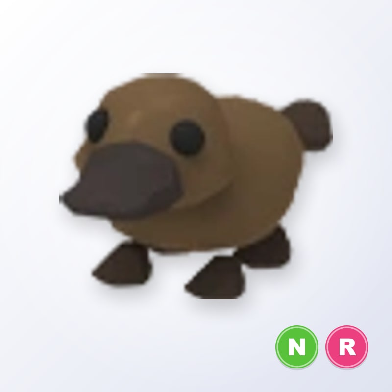 Platypus NR | Adopt Me