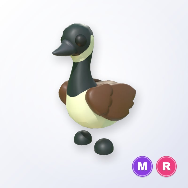 Canadian Goose MR | Adopt Me