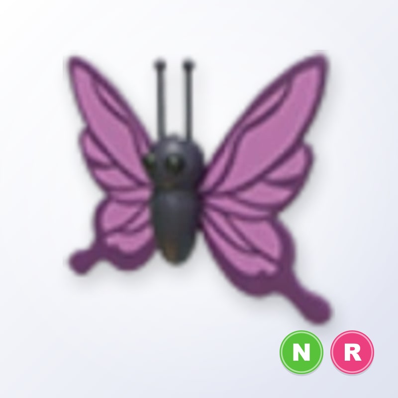 Purple Butterfly NR | Adopt Me