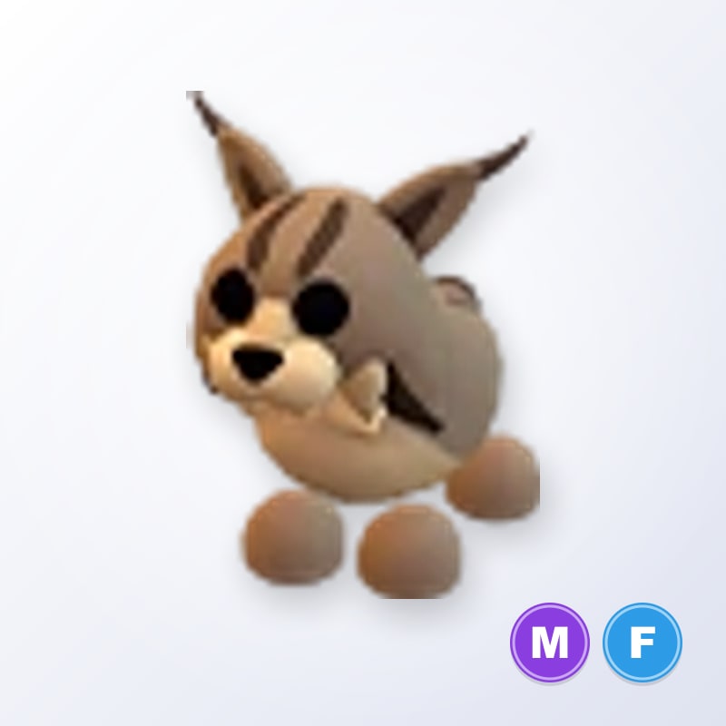 Lynx MF | Adopt Me
