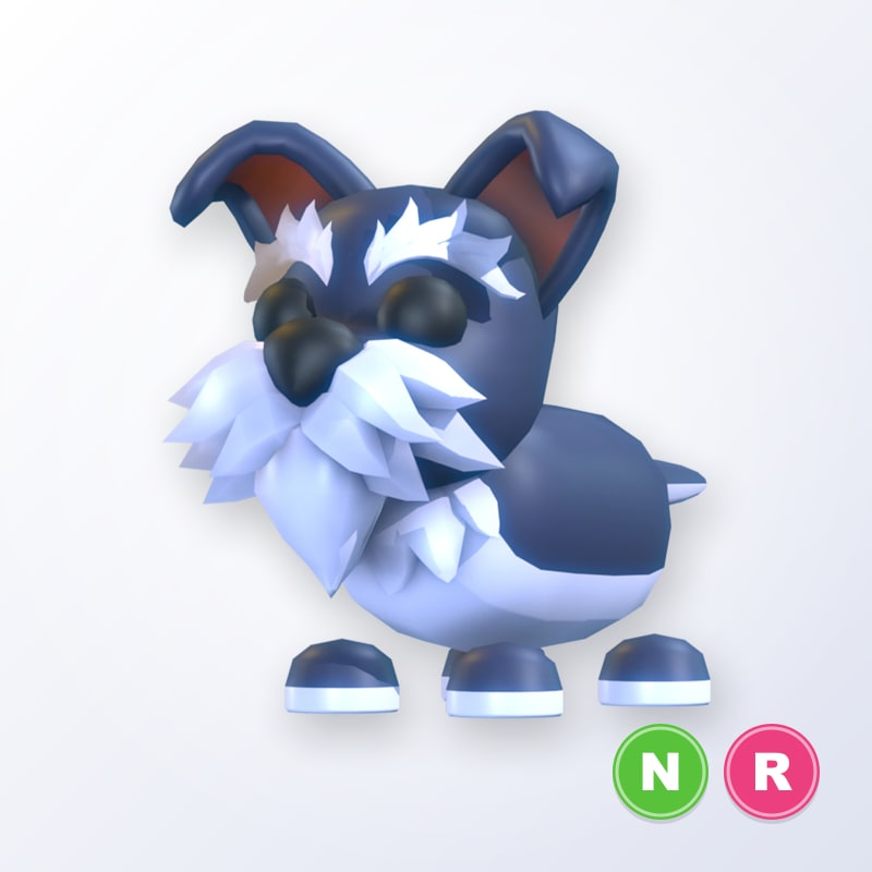 Mini Schnauzer NR | Adopt Me