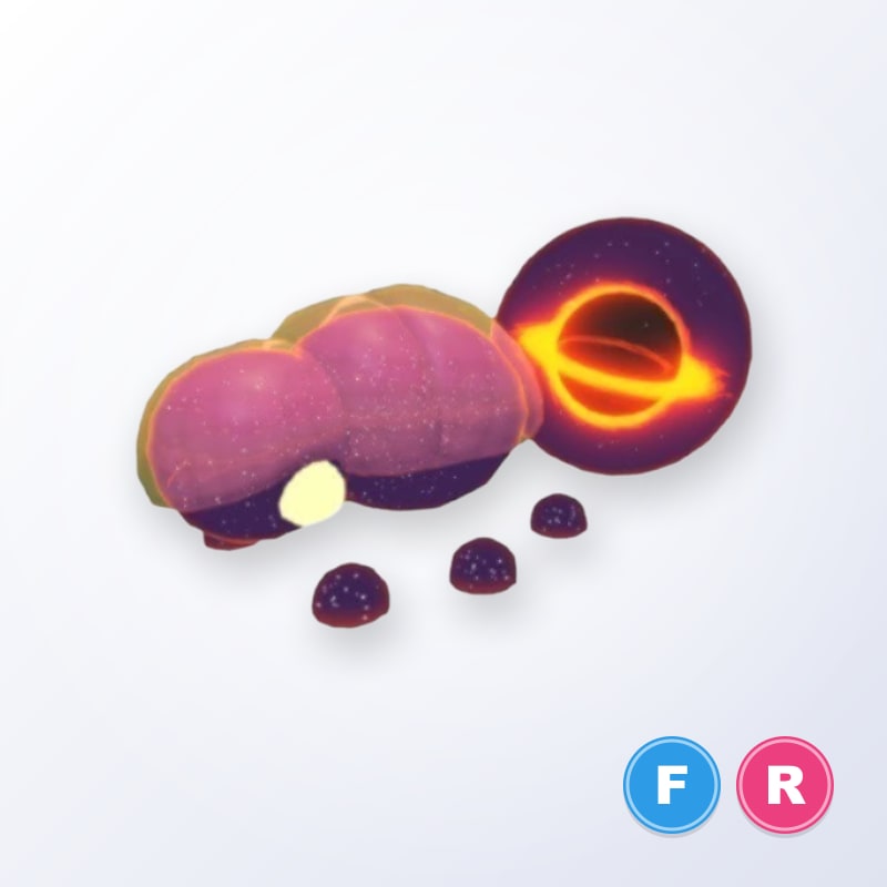 Singularity Beetle FR | Adopt Me