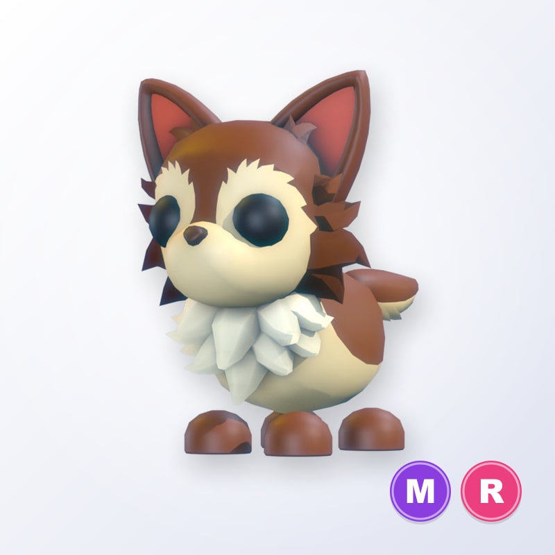 Chihuahua MR | Adopt Me