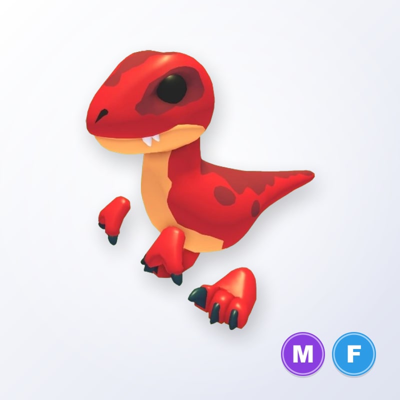 Velociraptor MF | Adopt Me