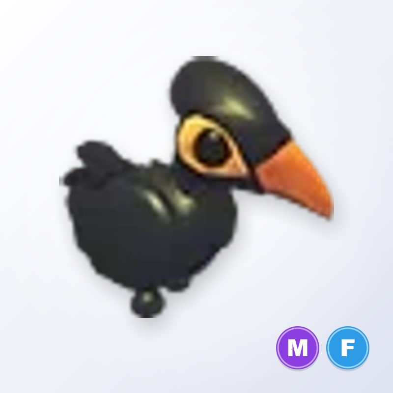 Maleo Bird MF | Adopt Me