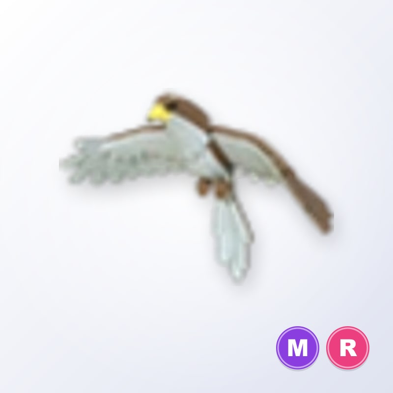 Hawk MR | Adopt Me