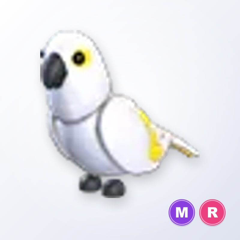 White Amazon MR | Adopt Me