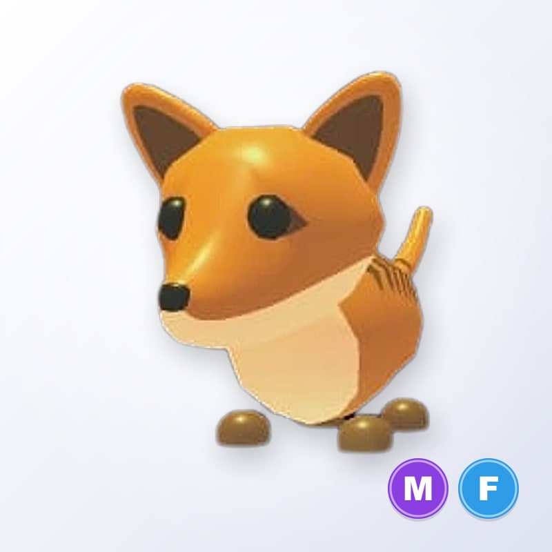 Tasmanian Tiger MF | Adopt Me