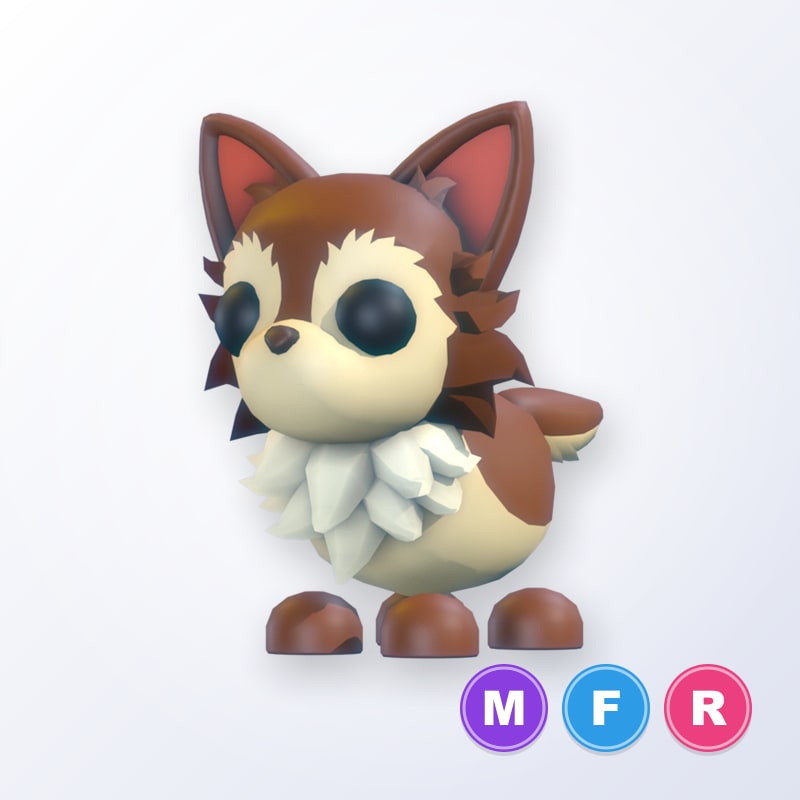 Chihuahua MFR | Adopt Me