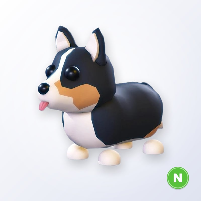 Royal Corgi N | Adopt Me