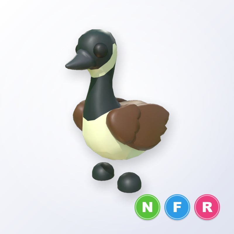 Canadian Goose NFR | Adopt Me