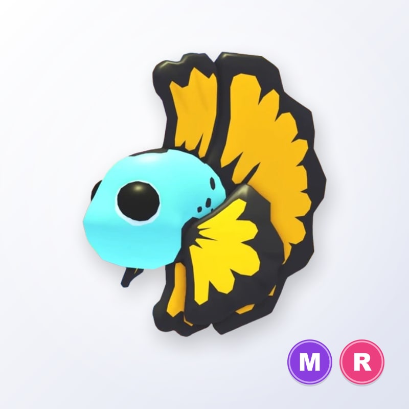 Blue Betta Fish MR | Adopt Me